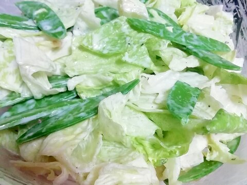 【サラダ料理】きぬさやとレタスのシーザーサラダ